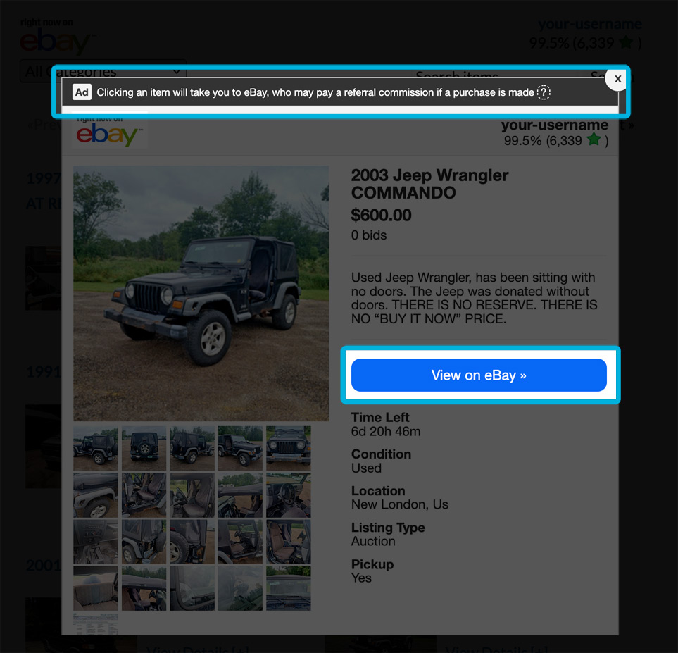 The Advertising Disclosure above the item Details